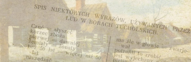 Słownik gwary borowiackiej, spis